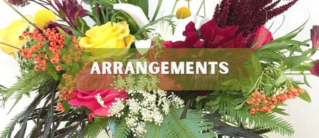 Beautiful Seasonal Flowers Banner