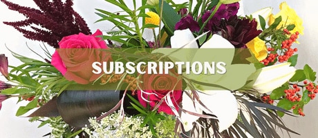 Beautiful Seasonal Flowers Banner